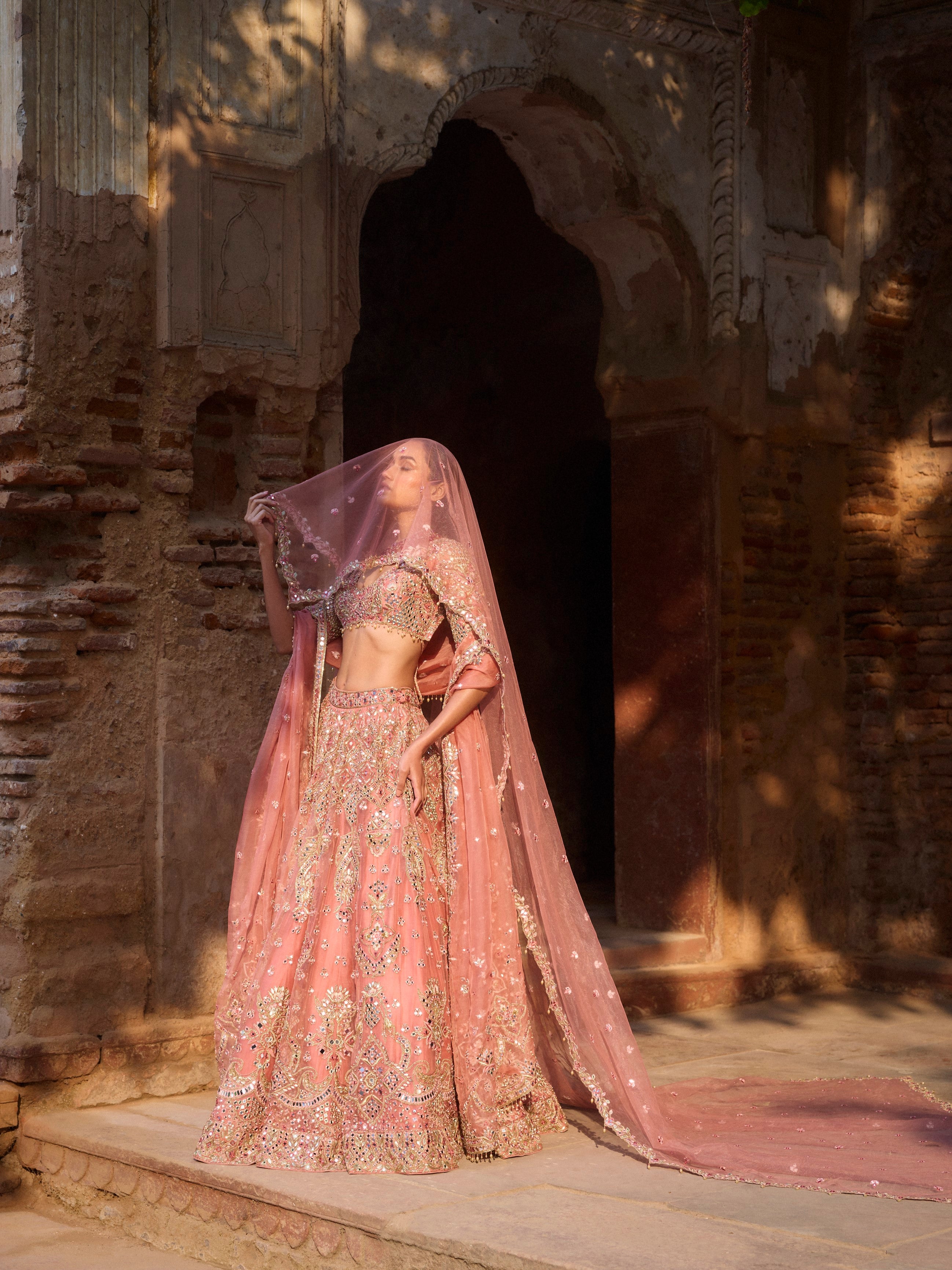 organza dress lehenga Mifra Handpainted Organza Lehenga Set