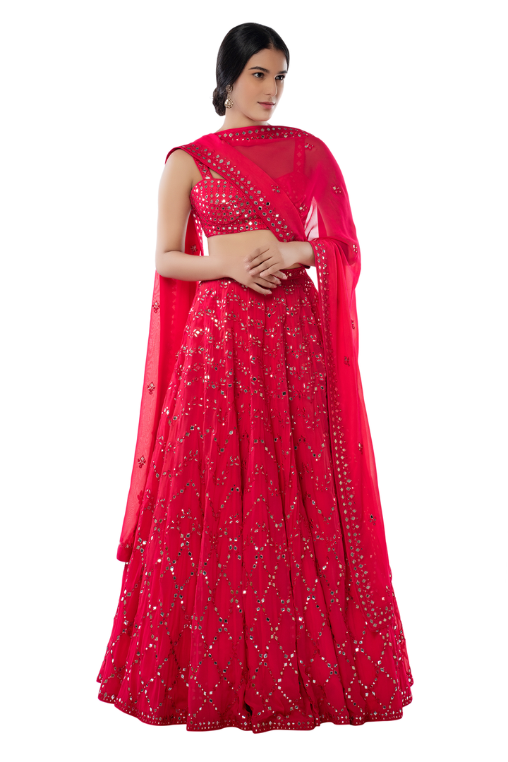 Pink Light Jaal Lehenga Set