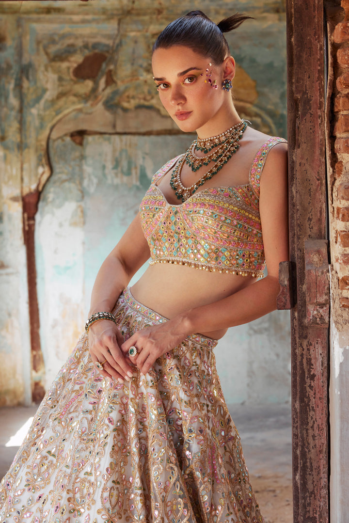 Ivory Net Foil Resham Embroidered Lehenga Set