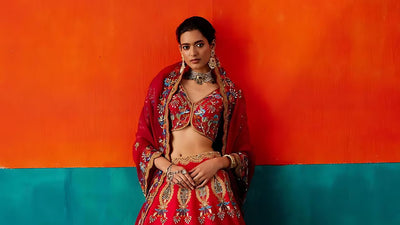 The Charm of Sarees: Ruffle, Polka Dot, Punjabi, and Mehendi Outfits