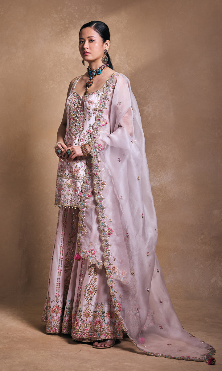 Blush Pink Sharara Set