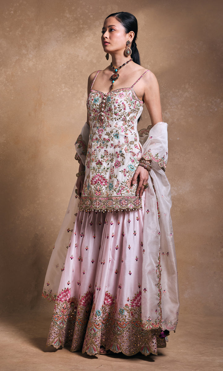Blush and Ivory Sharara Set