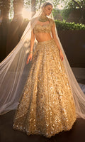 Silver Tissue Mirrorwork Lehenga Set