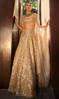 Silver Tissue Mirrorwork Lehenga Set