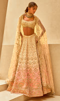 Regal Blush Ombre Lehenga Set