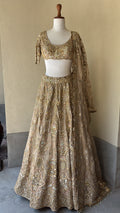 Beige Organza Lehenga Set
