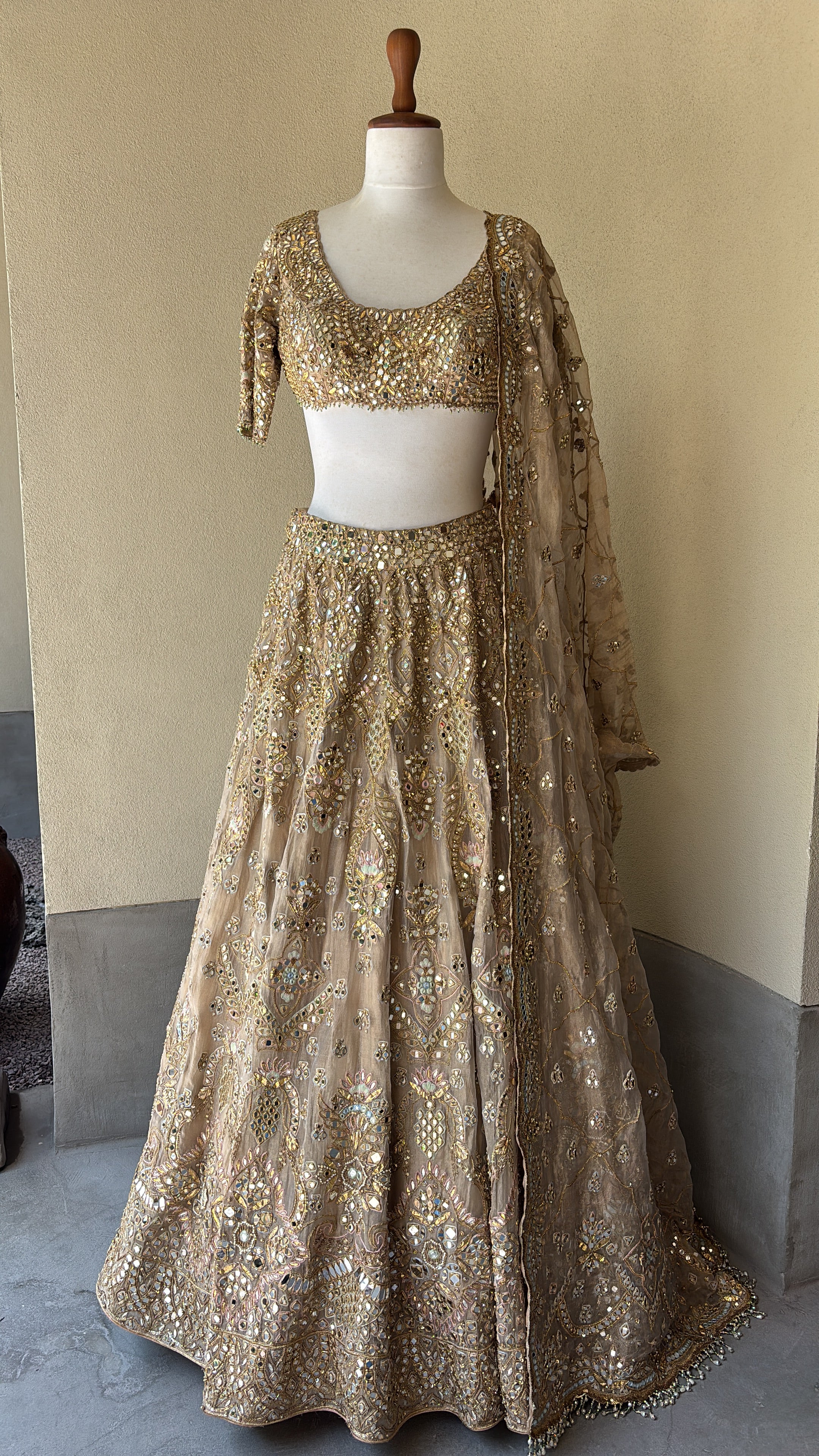 Beige Organza Lehenga Set