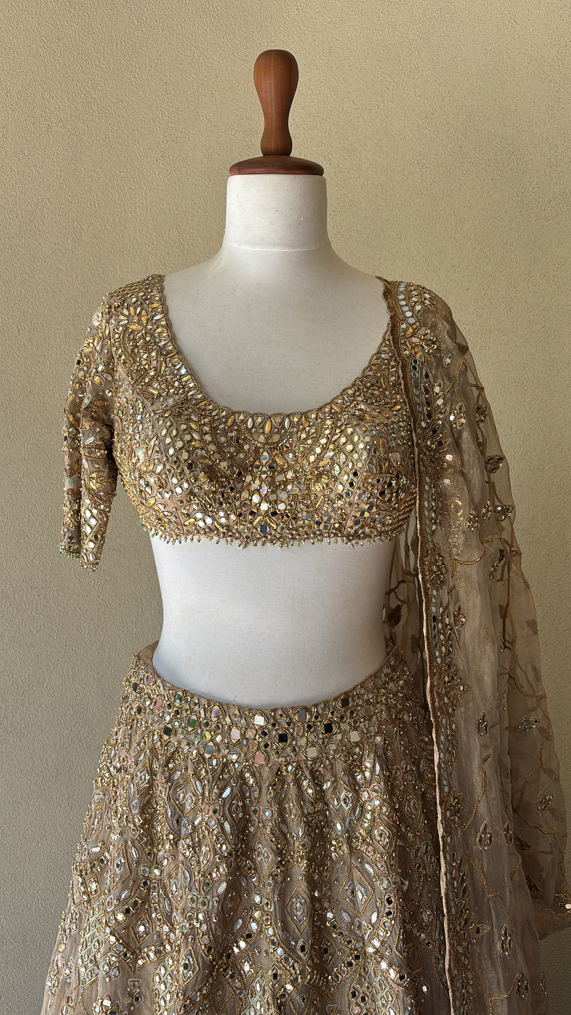 Beige Organza Lehenga Set