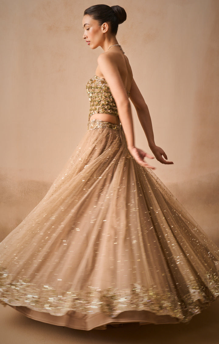 Biscuit Brown Lehenga &amp; Corset
