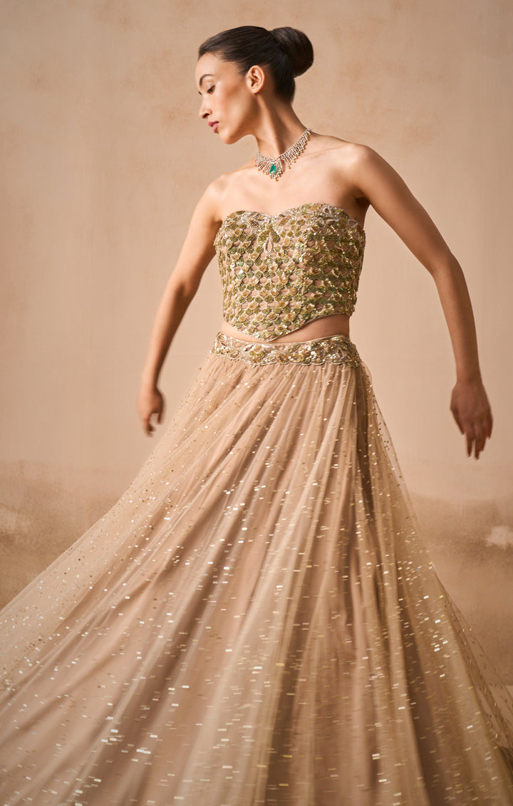 Biscuit Brown Lehenga &amp; Corset