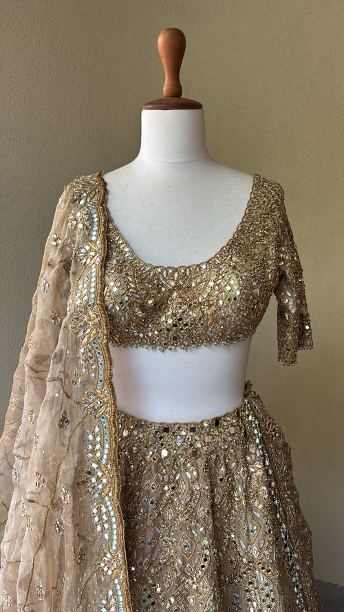 Gold Tissue Lehenga Set