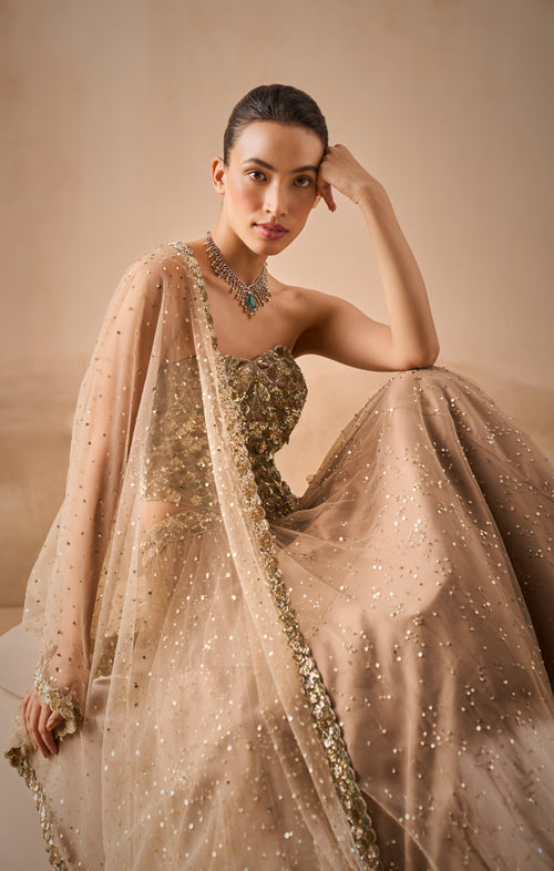 BISCUIT BROWN LEHENGA AND CORSET