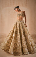 BEIGE GOLD TULLE SPARKLE LEHENGA SET