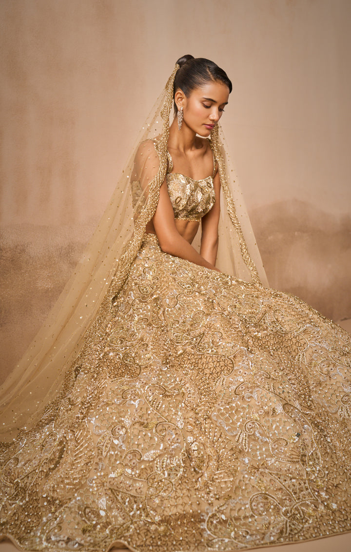 BEIGE GOLD TULLE SPARKLE LEHENGA SET