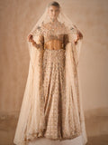 Beige Nude Tulle Lehenga Set
