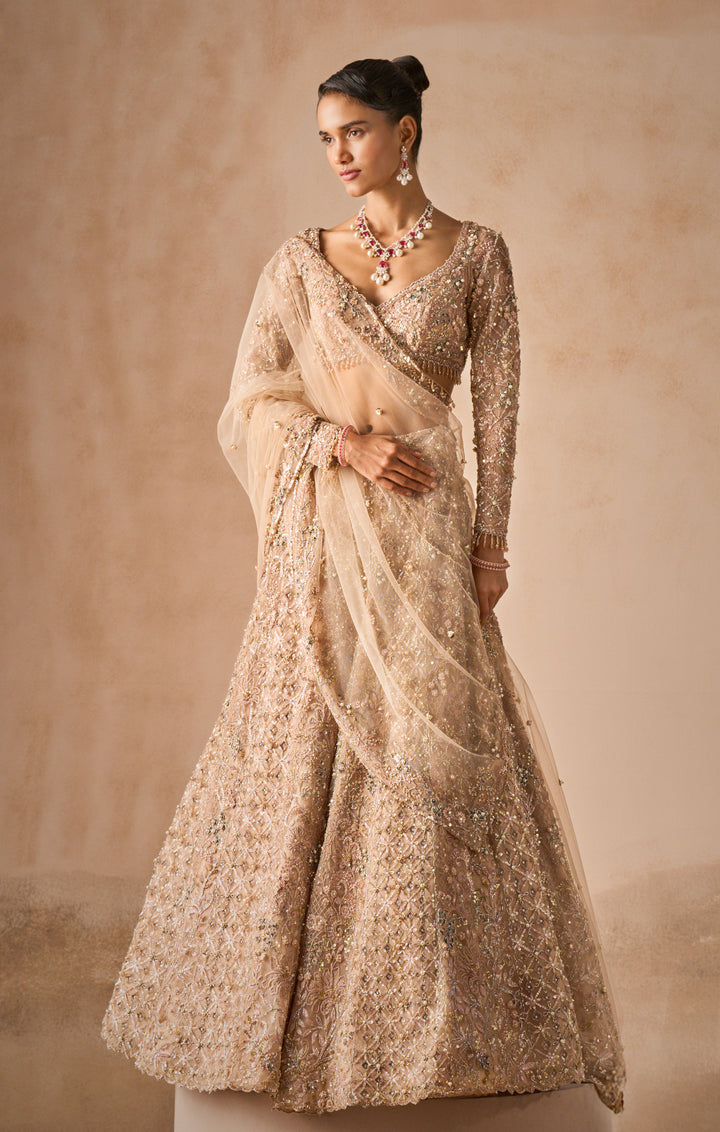 BEIGE NUDE TULLE LEHENGA SET