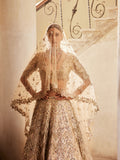 Champagne Rawsilk Mirror Lehenga Set