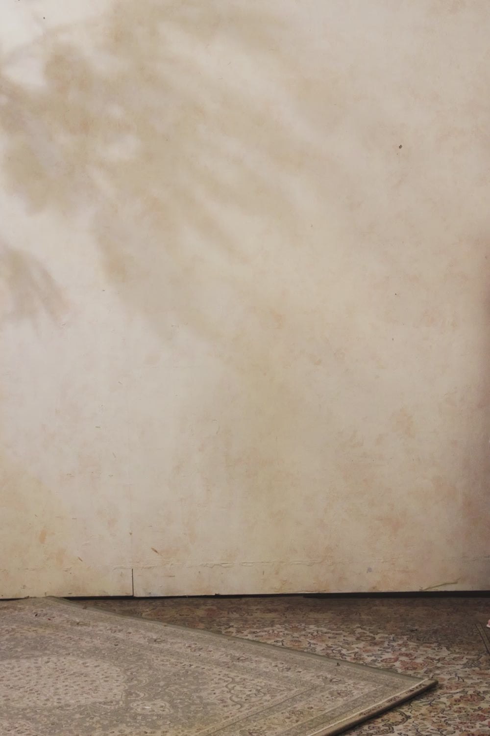 Blue & Pink Sharara Set