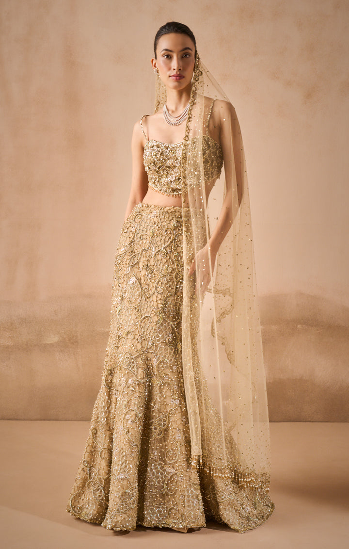 Beige Gold Sparkle Tulle Fit And Flare Lehenga Set