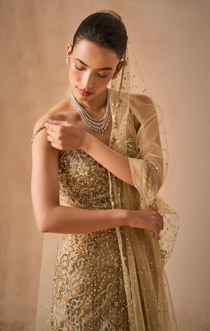 Beige Gold Sparkle Tulle Fit And Flare Lehenga Set