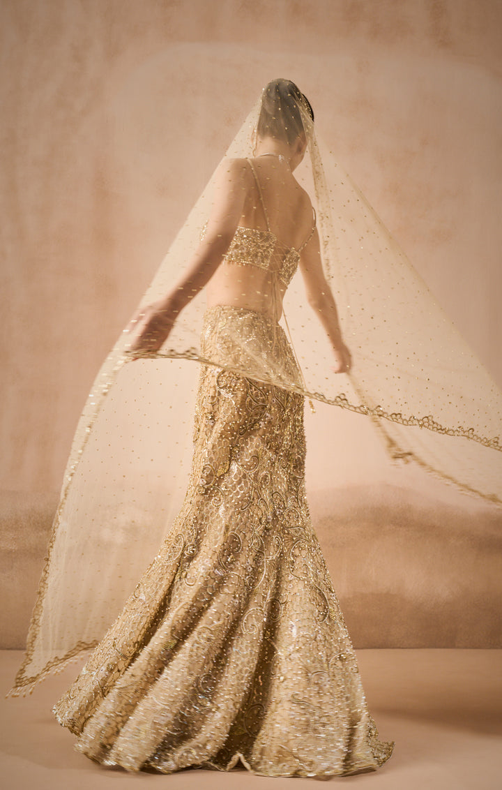 Beige Gold Sparkle Tulle Fit And Flare Lehenga Set