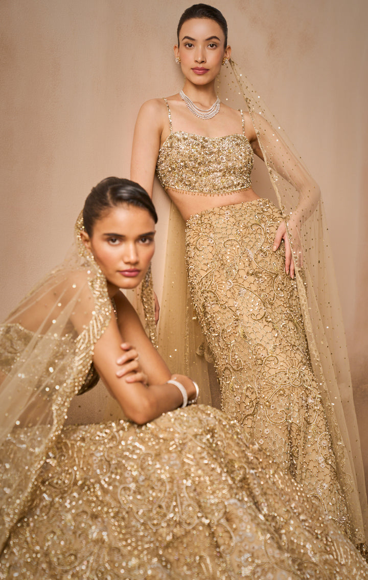 Beige Gold Sparkle Tulle Fit And Flare Lehenga Set