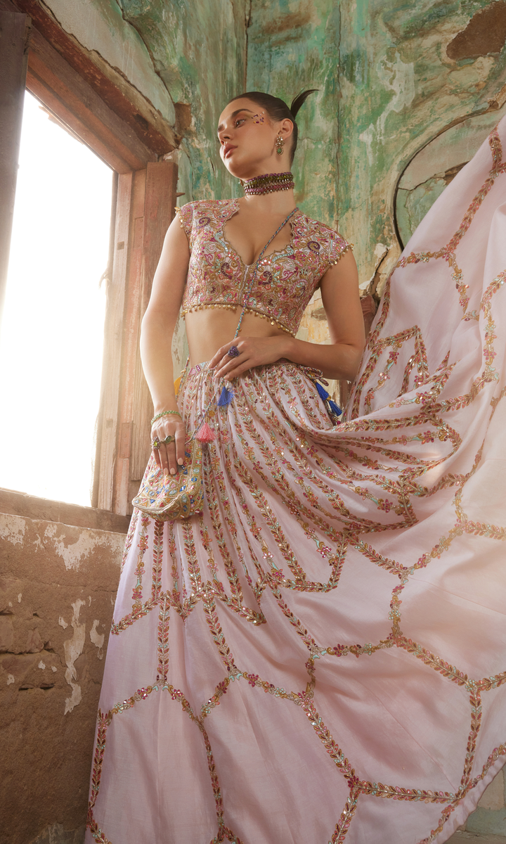Light Pink Chanderi Skirt paired with Embroidered Blouse