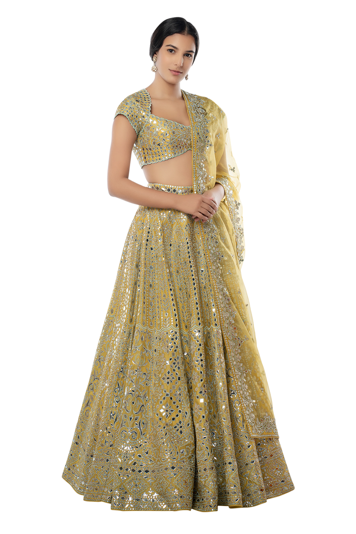 Yellow Chanderi Lehenga with Blue Resham and Foil