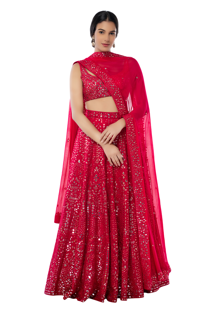 Pink Heavy Jaal Lehenga