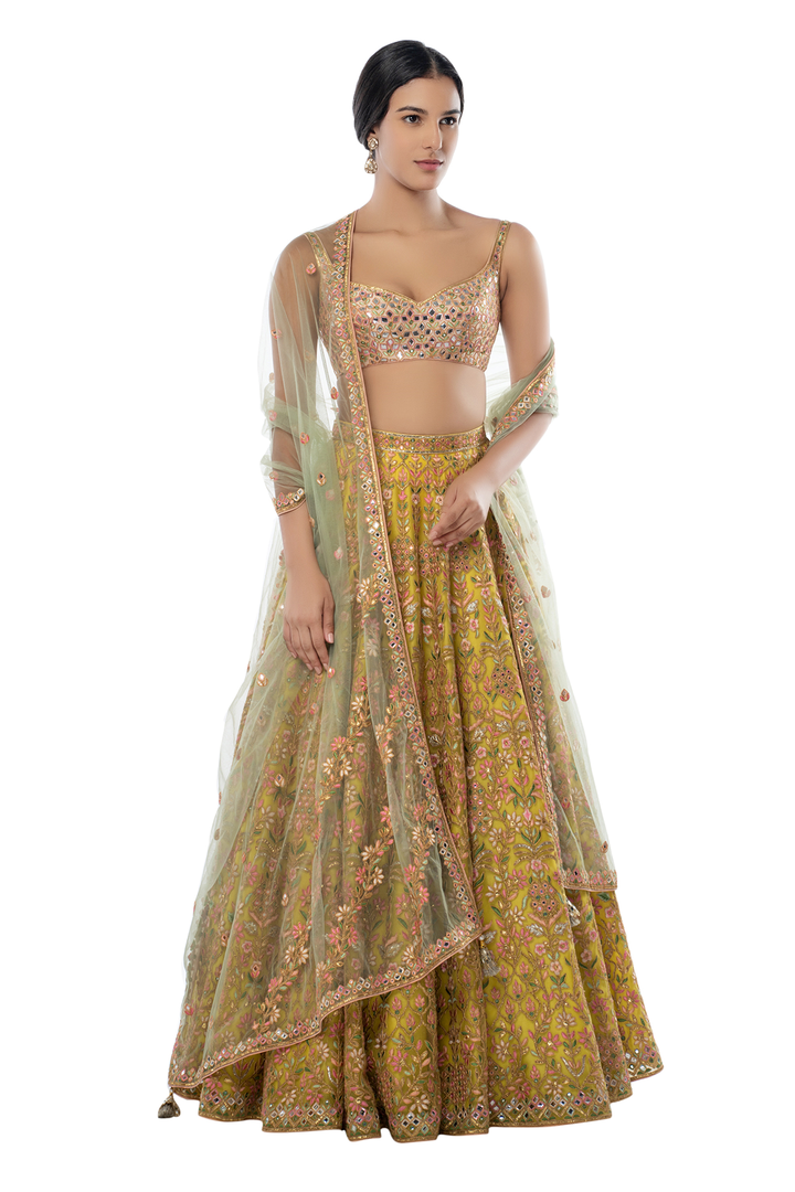 Green Foil Net Lehenga with Sage Green Dupatta