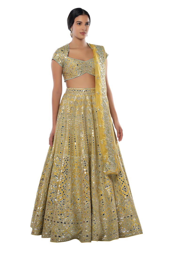 Yellow Chanderi Lehenga with Blue Resham and Foil