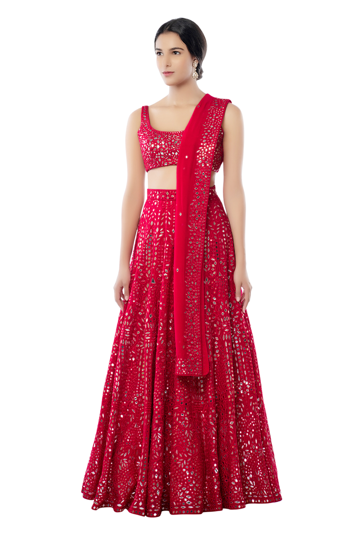 Pink Heavy Jaal Lehenga