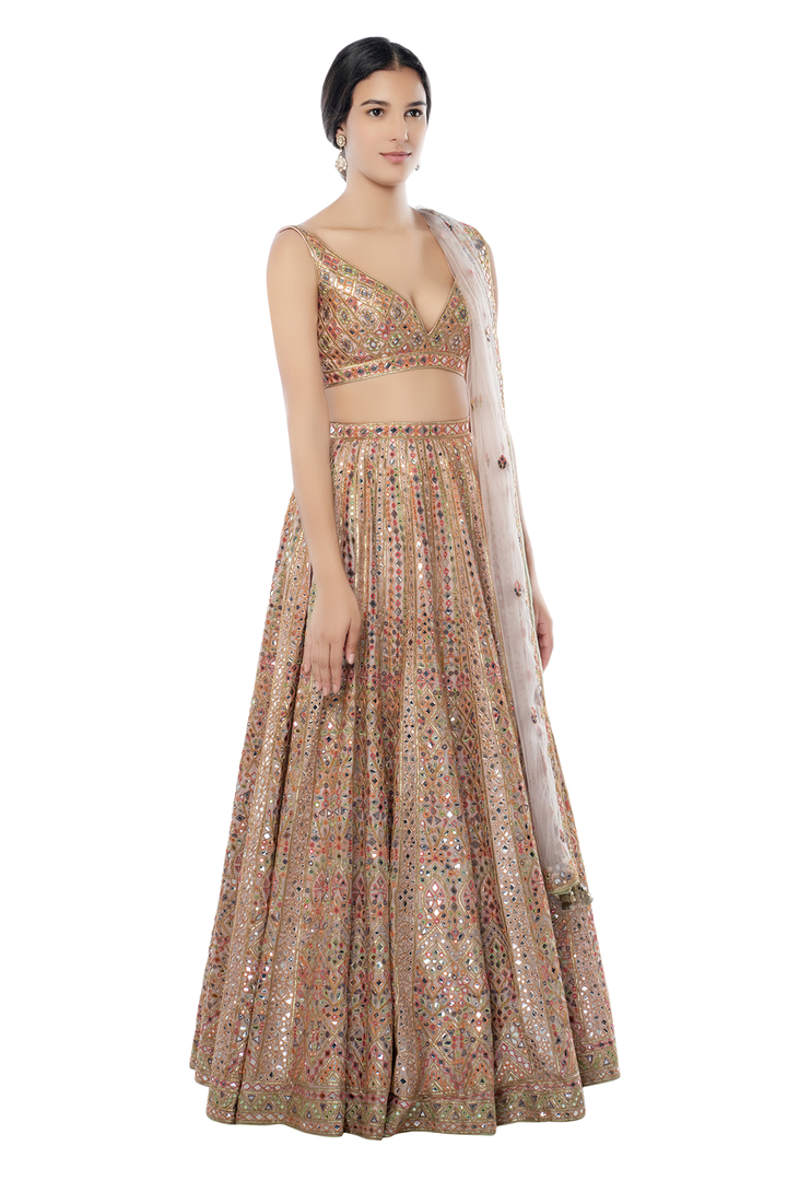 Blush Pink Chanderi Lehenga with Foil and Resham Embroidery