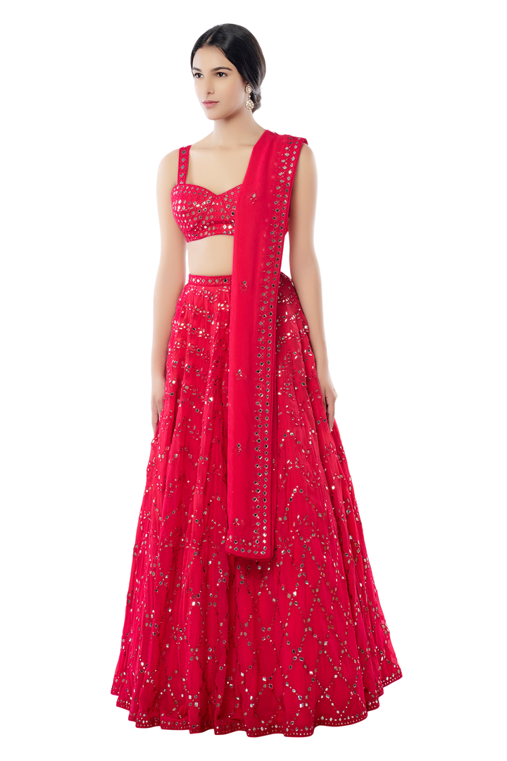 Pink Light Jaal Lehenga Set