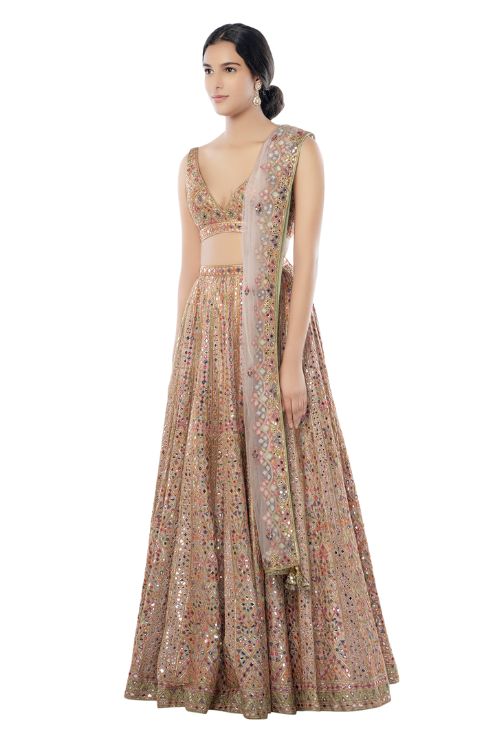 Blush Pink Chanderi Lehenga with Foil and Resham Embroidery