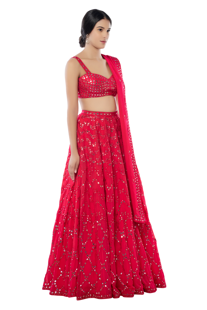 Pink Light Jaal Lehenga Set