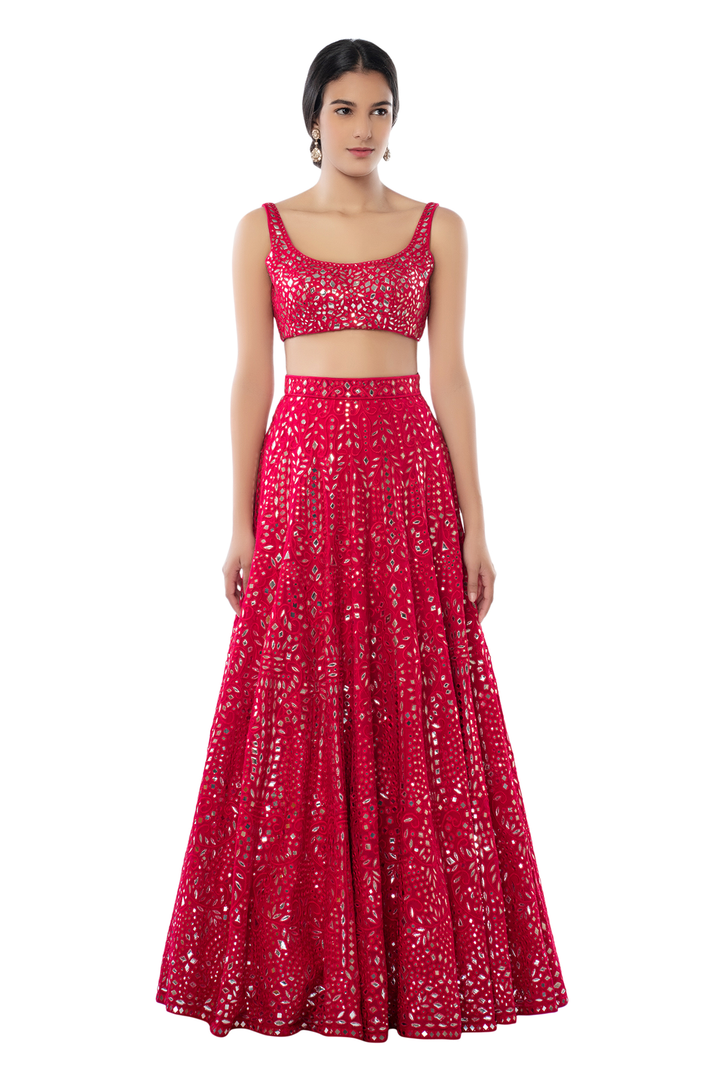 Pink Heavy Jaal Lehenga