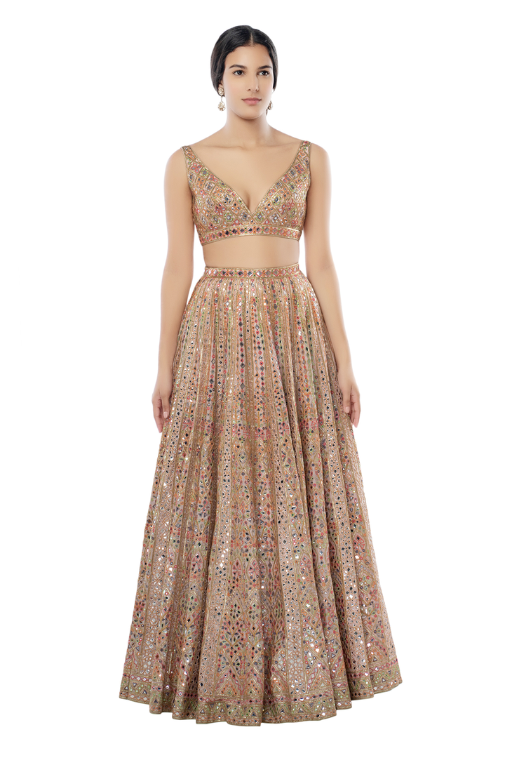 Blush Pink Chanderi Lehenga with Foil and Resham Embroidery