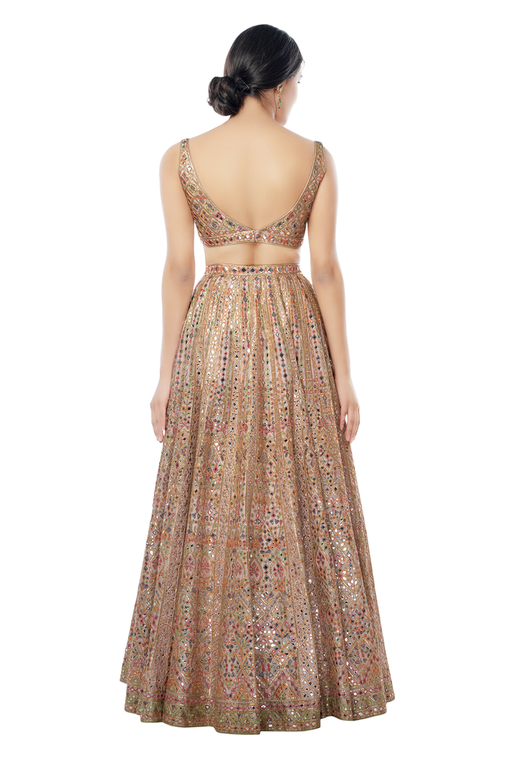 Blush Pink Chanderi Lehenga with Foil and Resham Embroidery