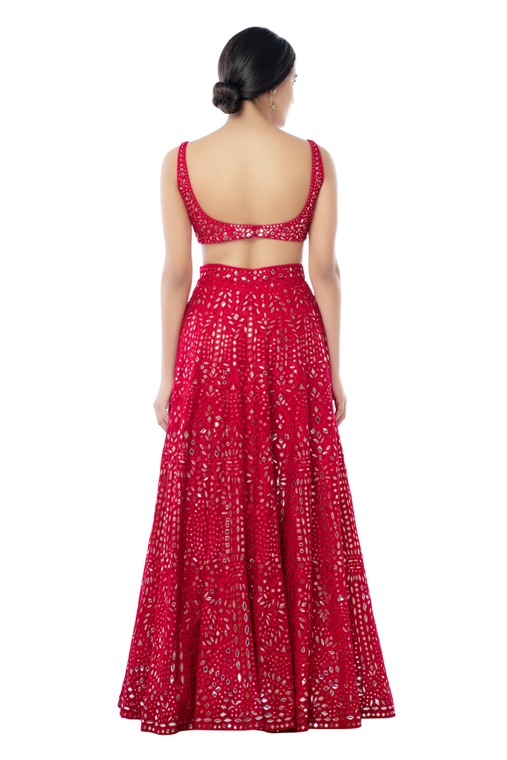 Pink Heavy Jaal Lehenga