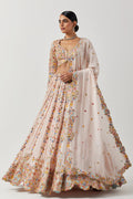 Lehenga Set