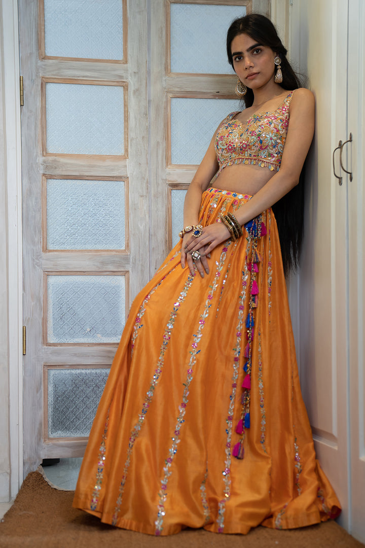 Tangerine Chanderi Skirt Withan Embroidered Blouse