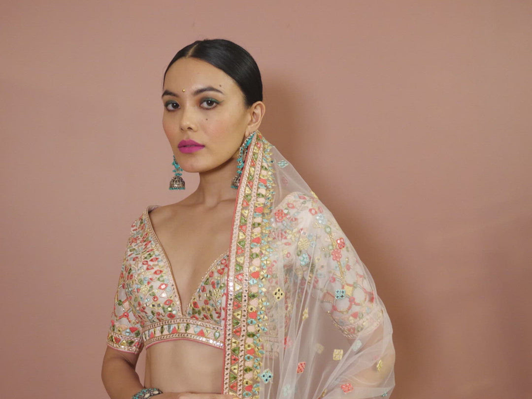 Light Blush Pink Mirror, Resham Detailed Lehenga Set
